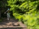 A MTB instructor jumps on the trails of Dolomiti Paganella Bike Park during a training camp