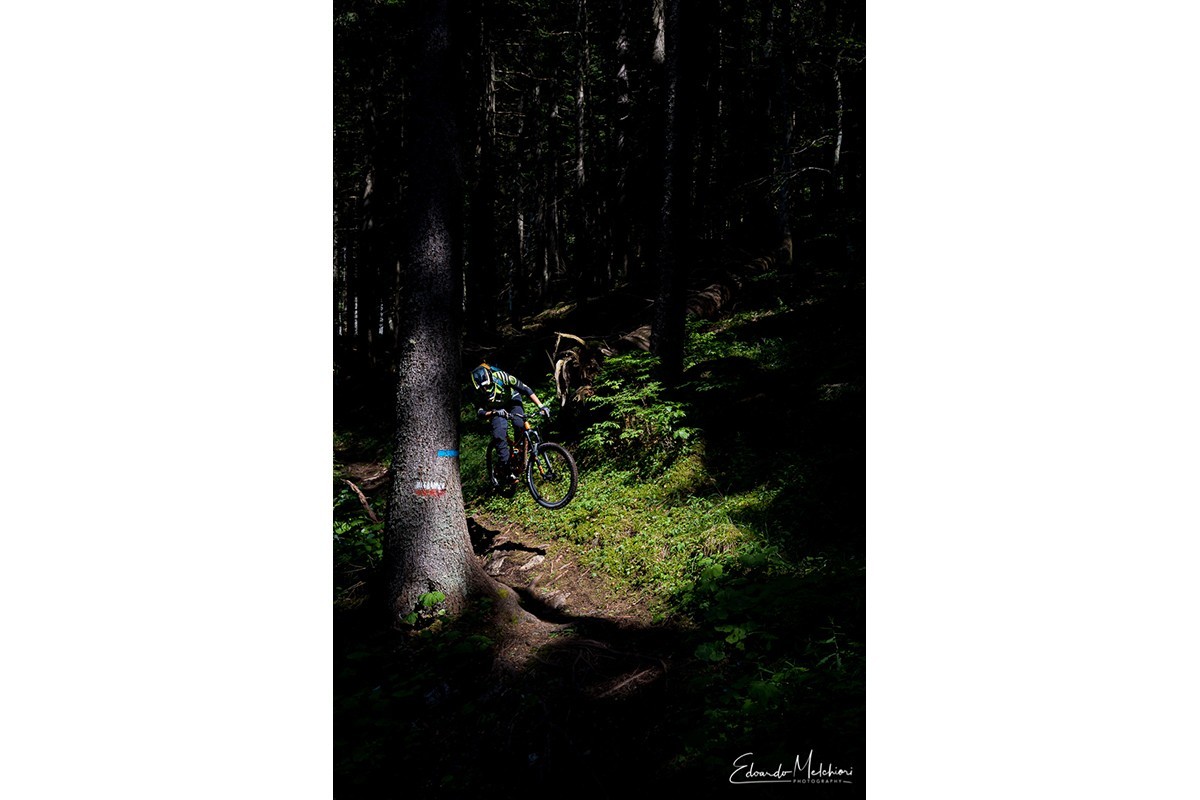 A MTB rider jumps out of the shade into the light coming through the tree branches in the Dolomiti Paganella